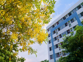 英国上市公司365